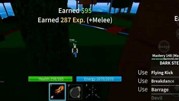 Customization Options