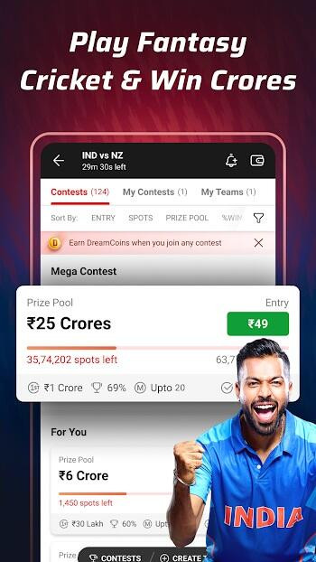 Dream11 Tournament Participation