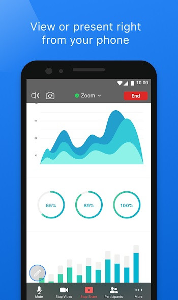 End-user illustration of Zoom's installation process