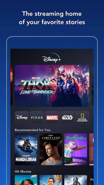 Experience Disney Magic