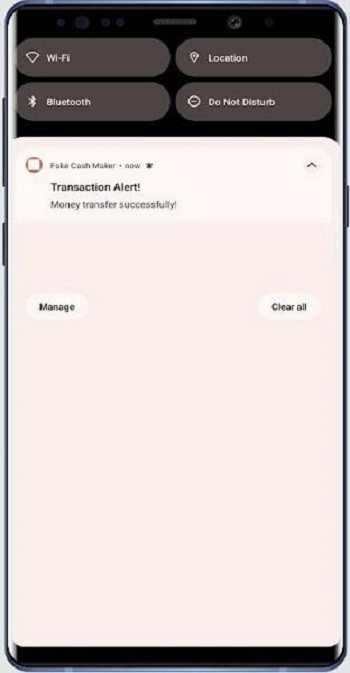Financial Simulation