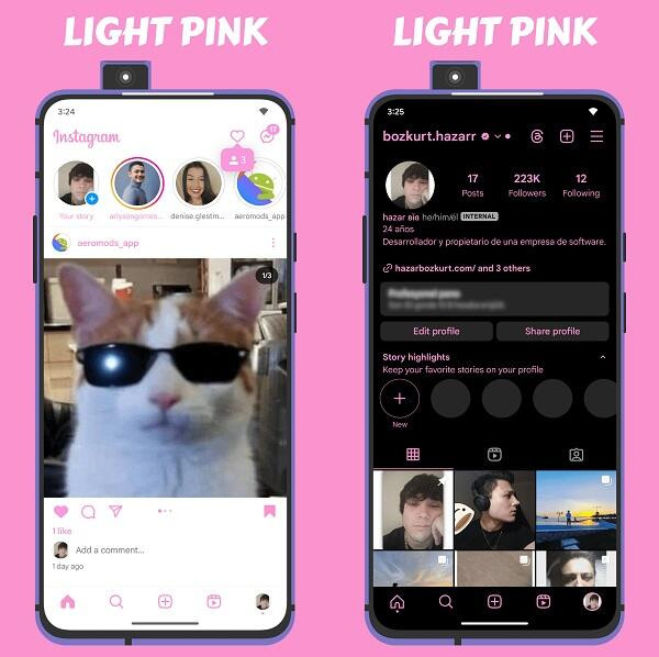 Latest version of Instagram Aero