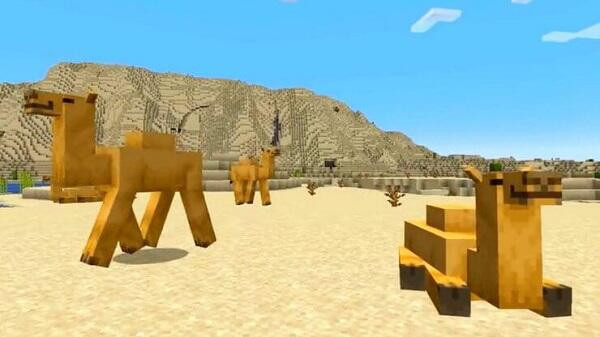 Minecraft 1.20.31 Beta Features