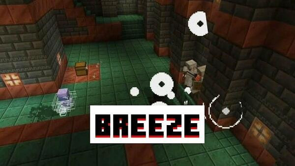Minecraft Resource Management
