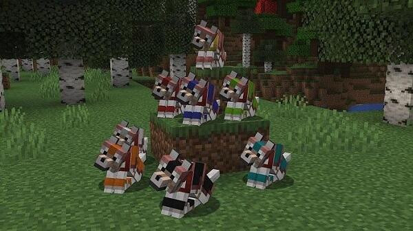 Minecraft Wolf Variants