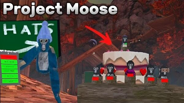 Project Moose Latest Version Display
