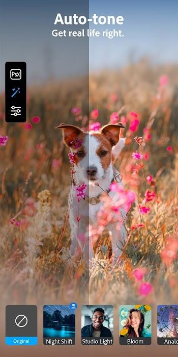 Real-Time Filter Preview in Photoshop Camera