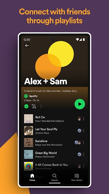 Spotify Mobile Version