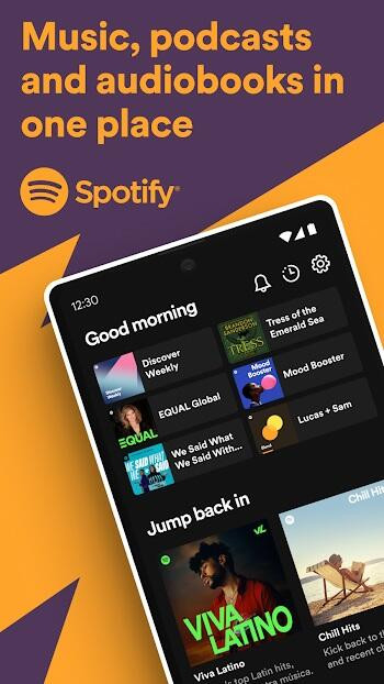 Spotify Premium Interface