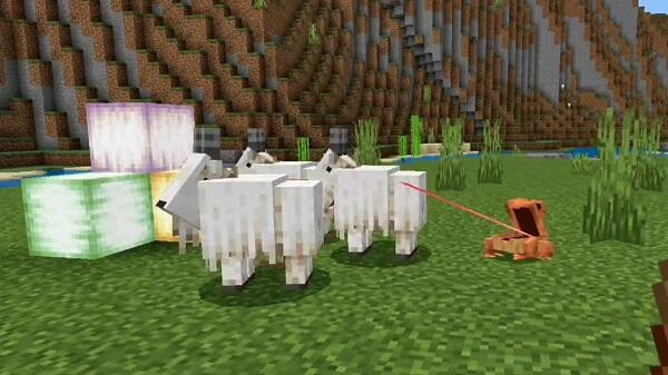 Technical Enhancements in Minecraft