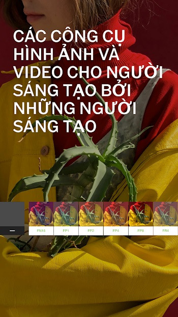 VSCO Pro Download Interface