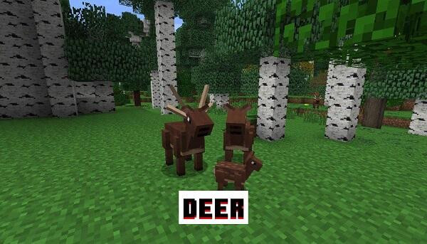Wildlife in Minecraft 1.21.0