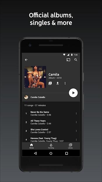 YouTube Music App Interface