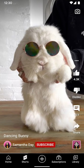 YouTube without ads
